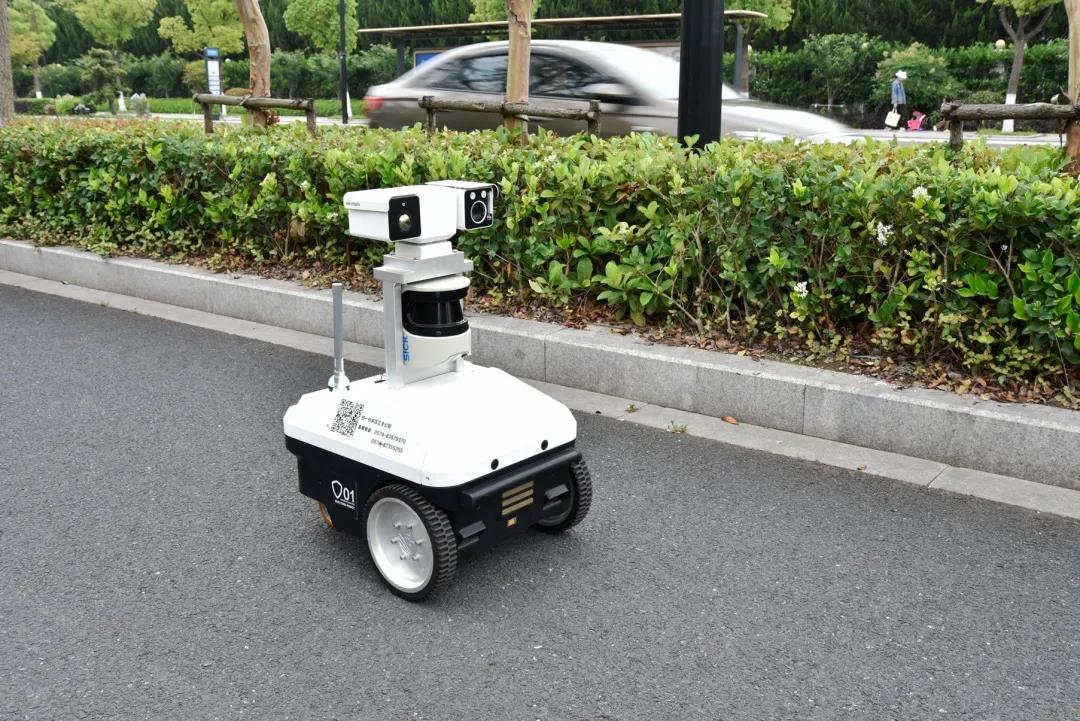 巡检向日葵黄色视频