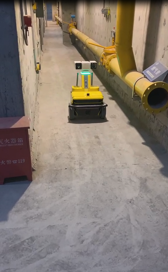 地下综合管廊巡检向日葵黄色视频