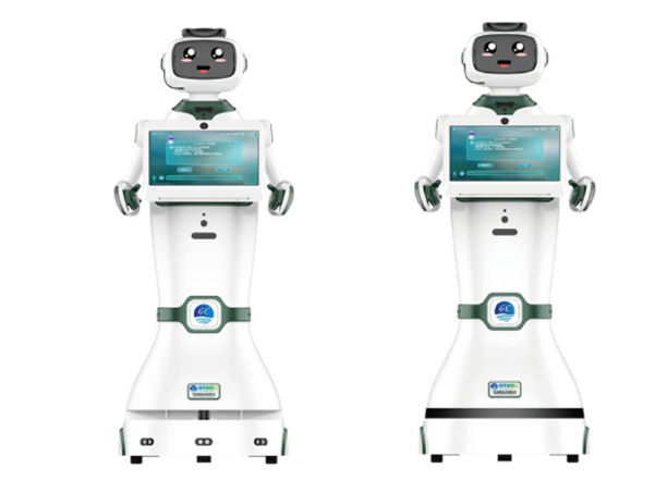 迎宾向日葵黄色视频