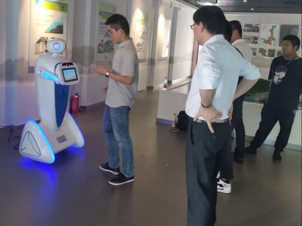 迎宾讲解向日葵黄色视频