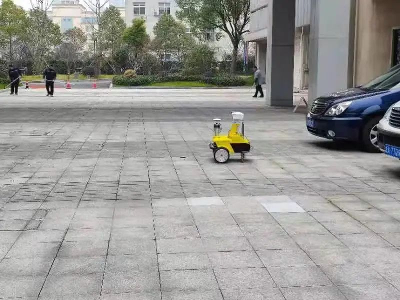 巡检向日葵黄色视频