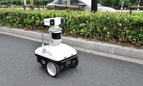 室外巡检向日葵黄色视频